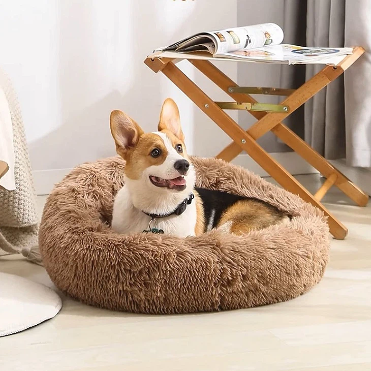 आलीशान कुत्ते केनेल